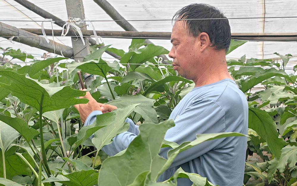 291815d1814f4068be6db1457aa25bf9.jpg 291815d1814f4068be6db1457aa25bf9.jpg